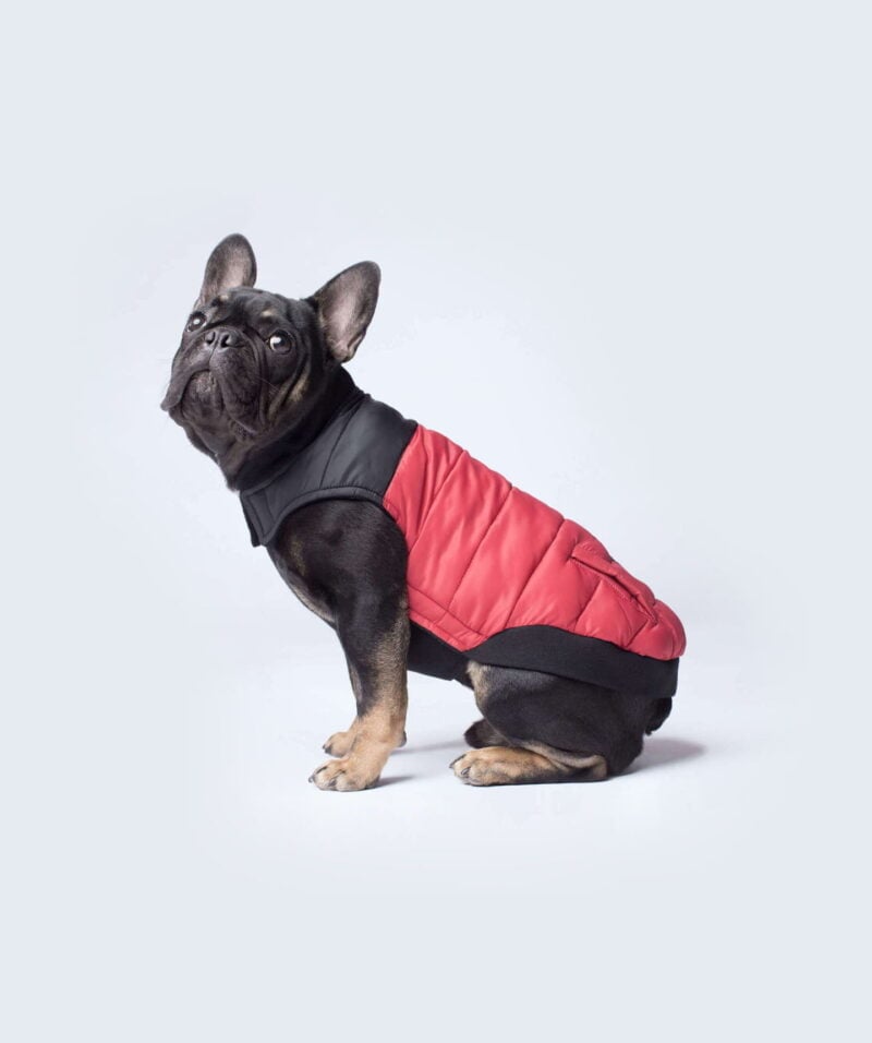 Canada Pooch Product Photo