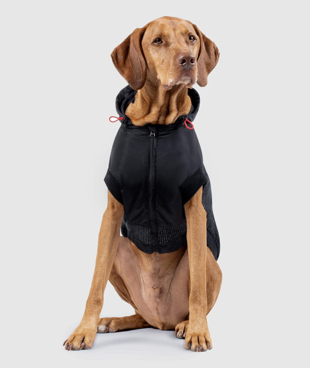 Canada Pooch Product Detail Photo